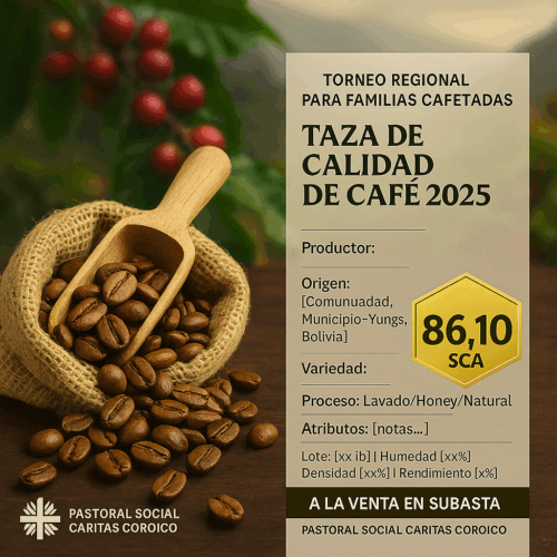 Tomasa Quispe — Alto Beni (Yungas) - 86,10