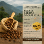 Familia Mamani — Coroico (Yungas) - 86.25