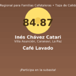 Inés Chávez Catari – Villa Asunción, Caranavi, La Paz – 84.87 pts