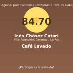 Inés Chávez Catari – Villa Asunción, Caranavi, La Paz – 84.70 pts