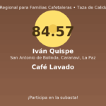 Iván Quispe – San Antonio de Bolinda, Caranavi, La Paz – 84.57 pts